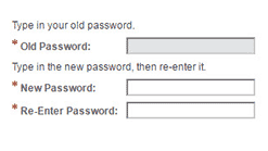 Screenshot showing fields to enter your new password