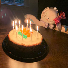 Stuffed rabbit celebrates her birthday with a cake